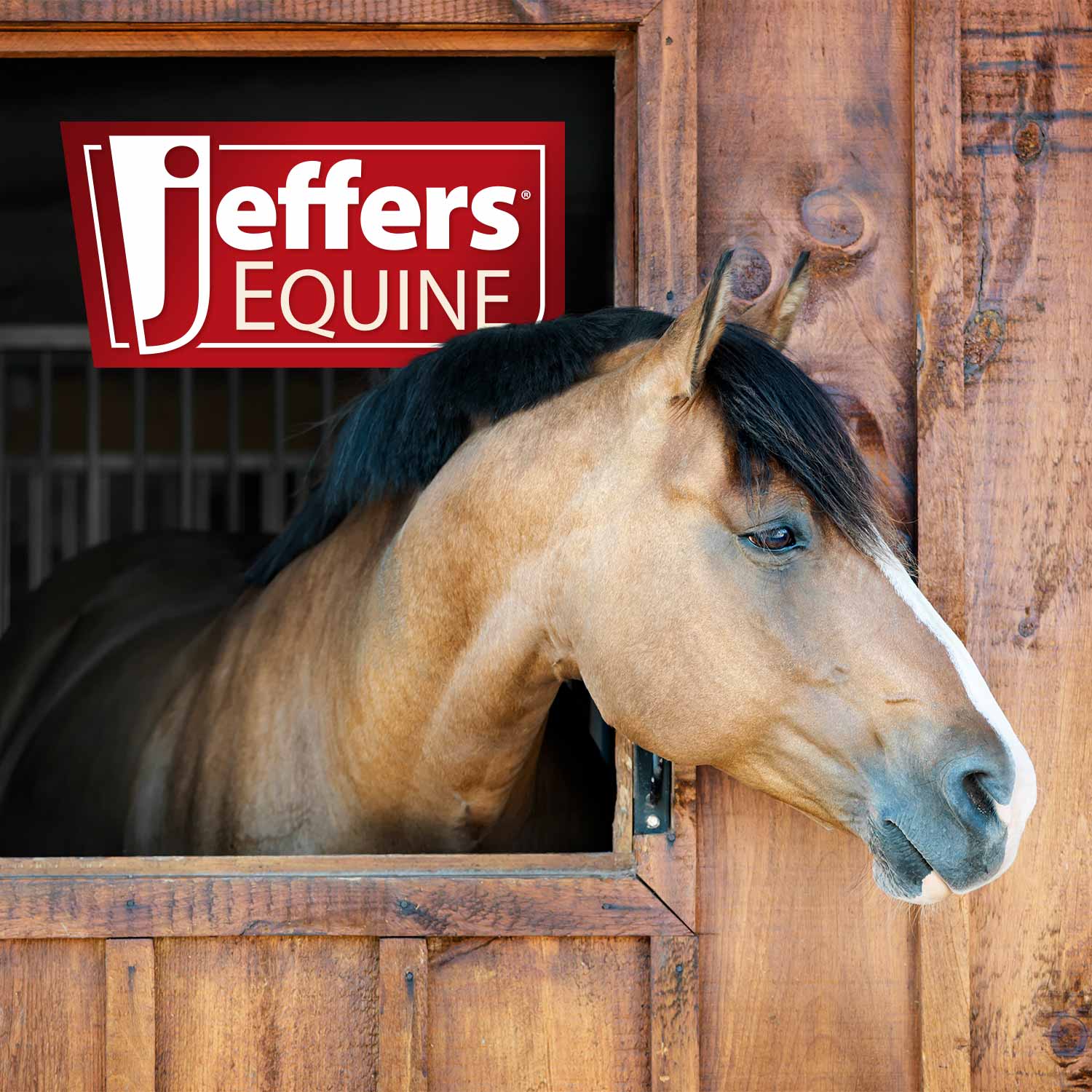 Jeffers Double Shedding Blade for Horse Grooming