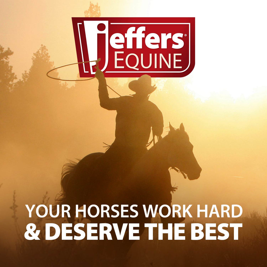 Jeffers Healthy Gut Gastric Support Liquid Supplement for Horses
