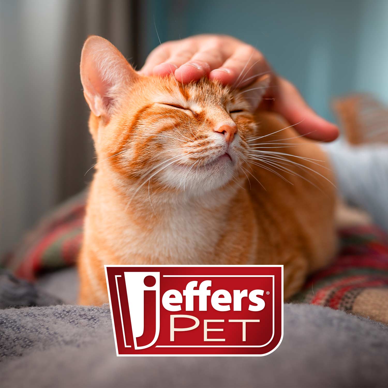 Jeffers Magic Spring Undercoat Rake for Pet Grooming