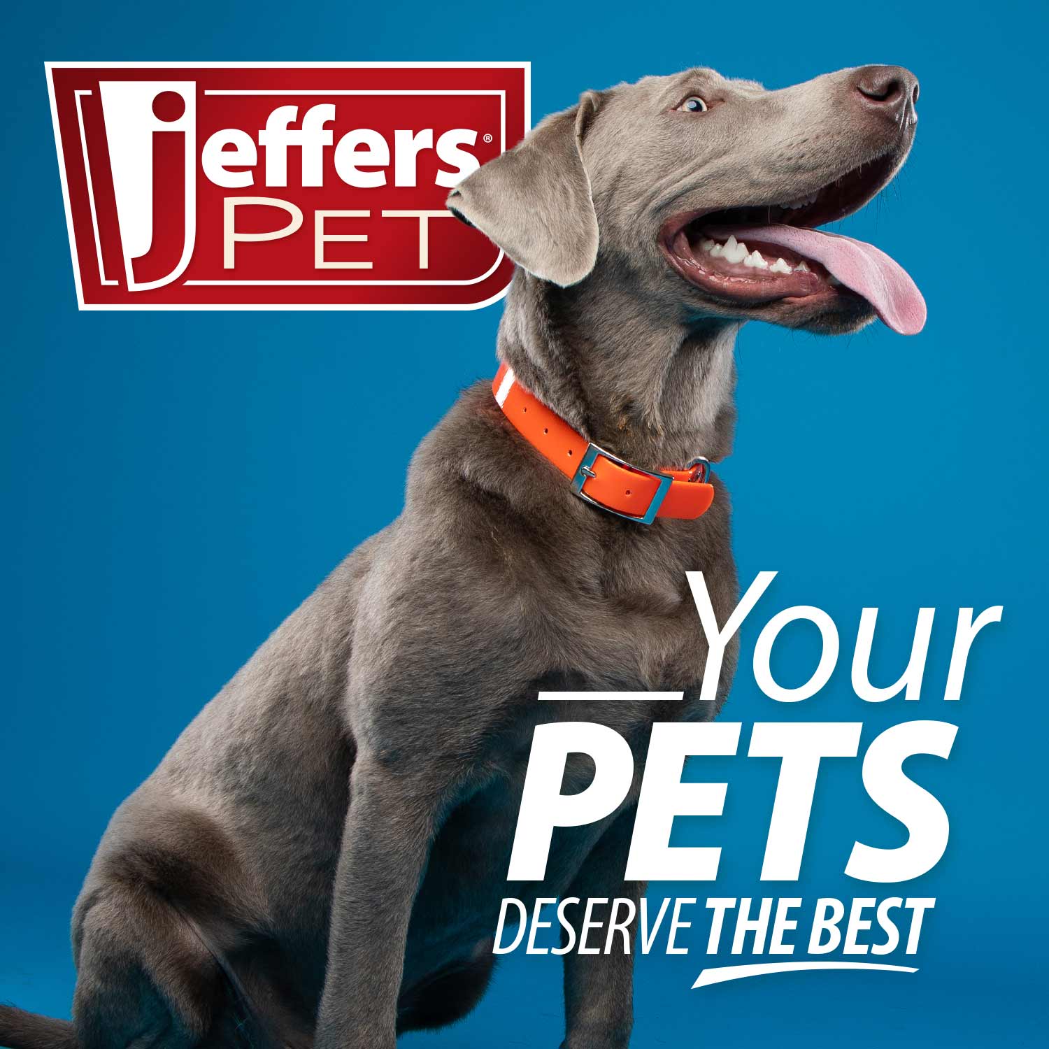 Jeffers Natural Flea & Tick Pennyroyal Dog Shampoo - Aids in Repelling Fleas, Ticks, Flies & Mosquitos