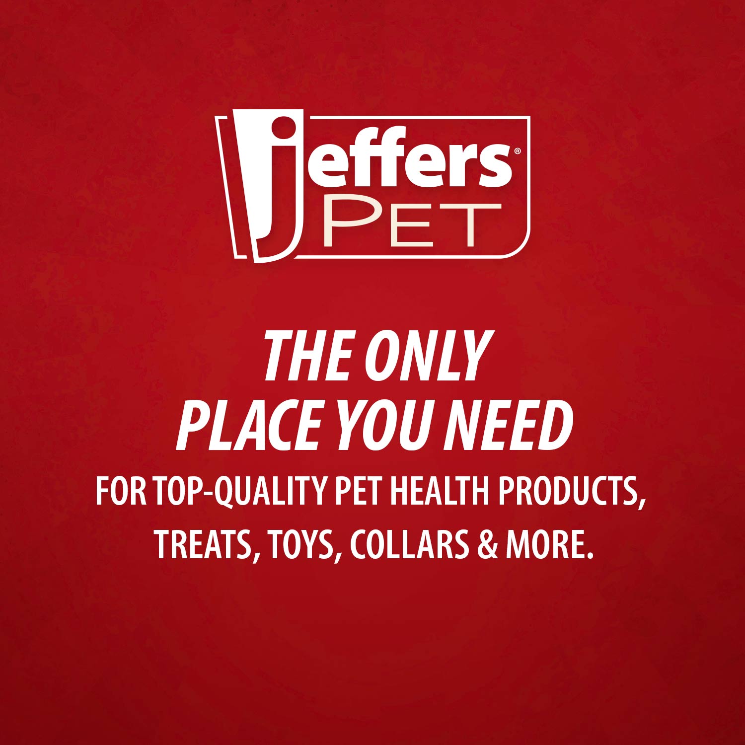 Jeffers Pet Tearless All-Purpose All-Natural Coconut Oil Shampoo for Dogs & Cats