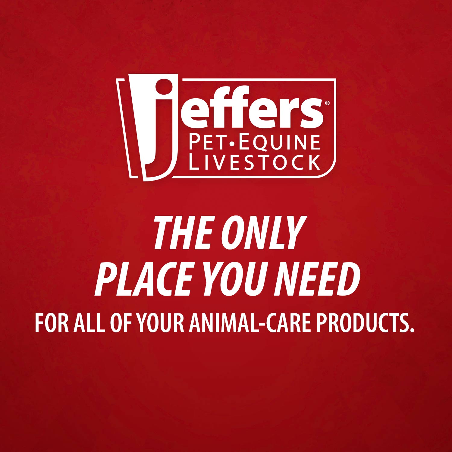 Jeffers Nylon Syringe (& Replacement O-Rings)