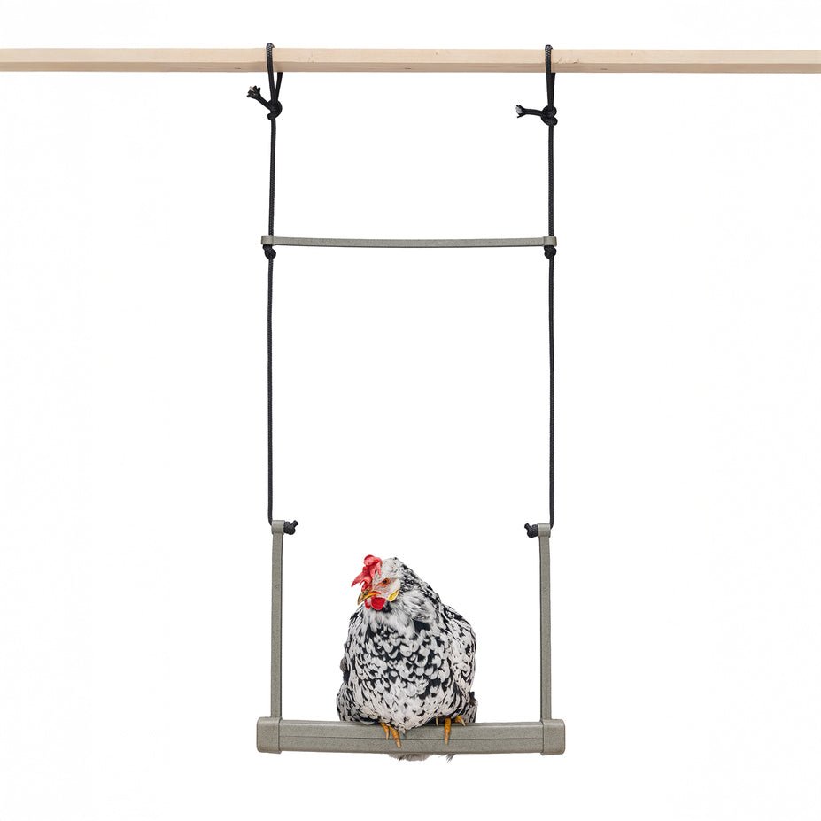 Backyard Chicken Swing – Durable, Recycled Material for Flock Activity