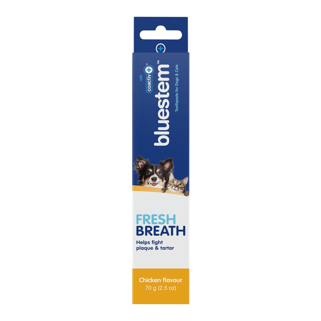 Bluestem Coactiv+ Pet Toothpaste for Dogs and Cats, Chicken Flavor, 2.5 oz