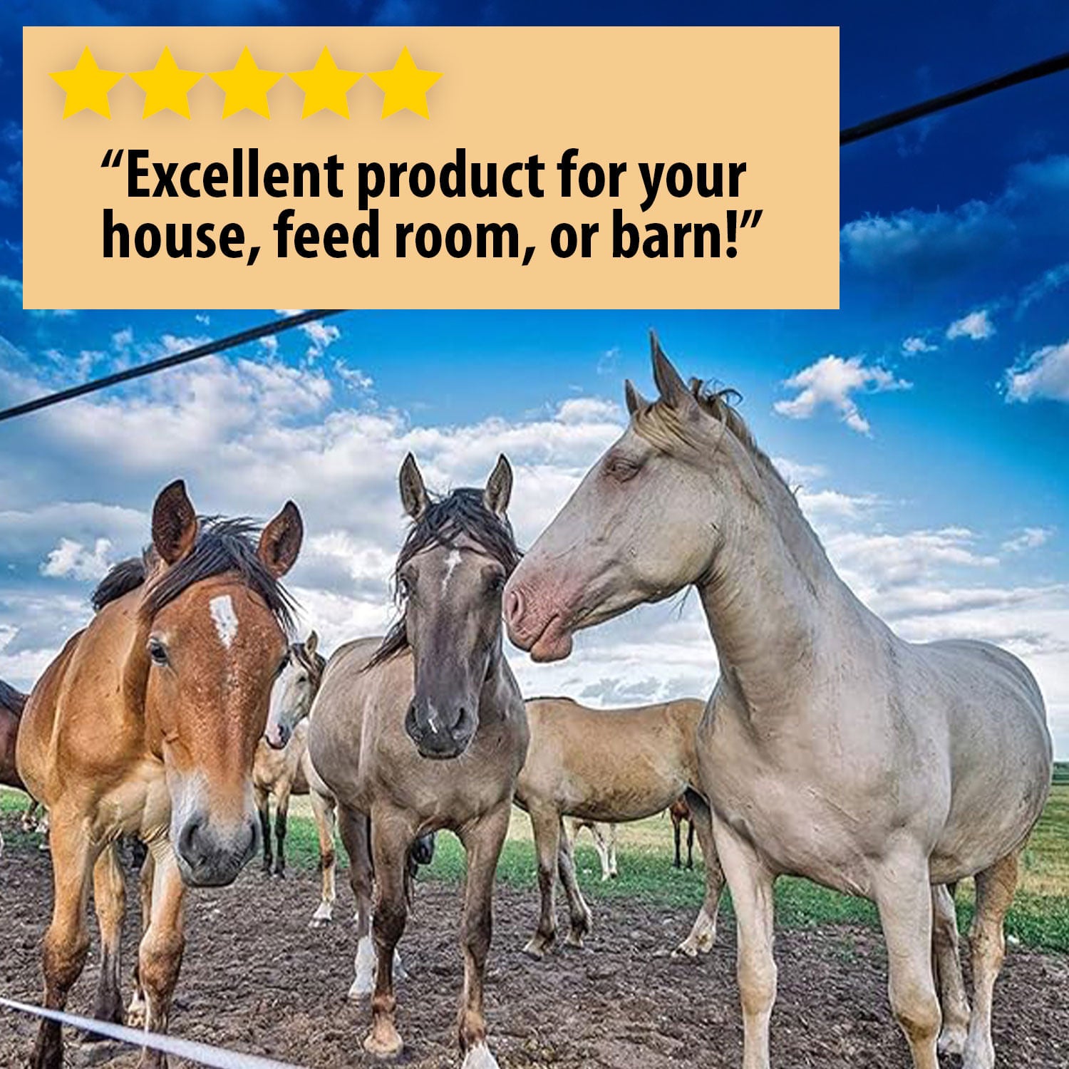 Country Vet Metered Instect Control & Fly Spray