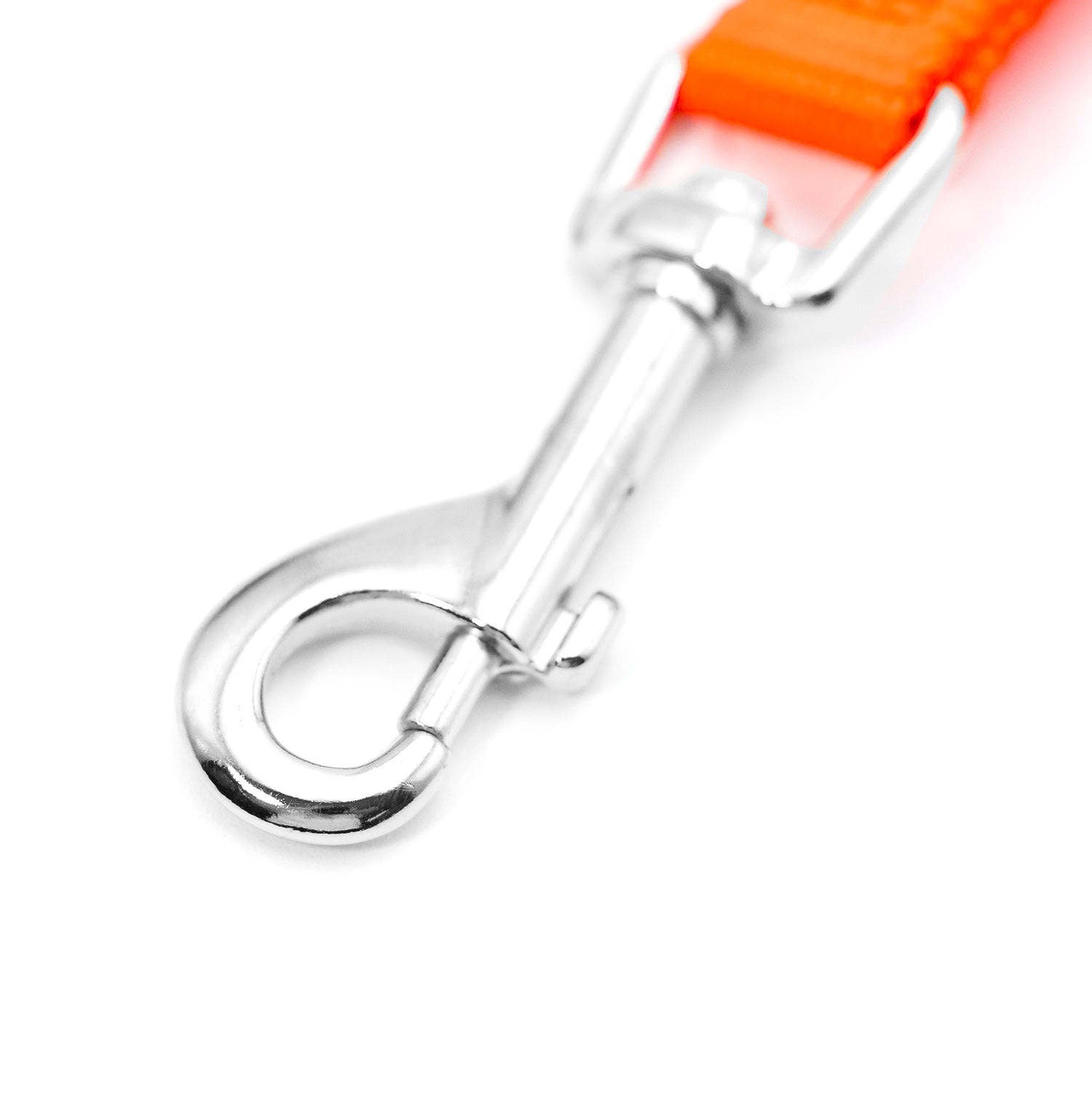 Jeffers 1-Ply Web Nylon Dog Leashes