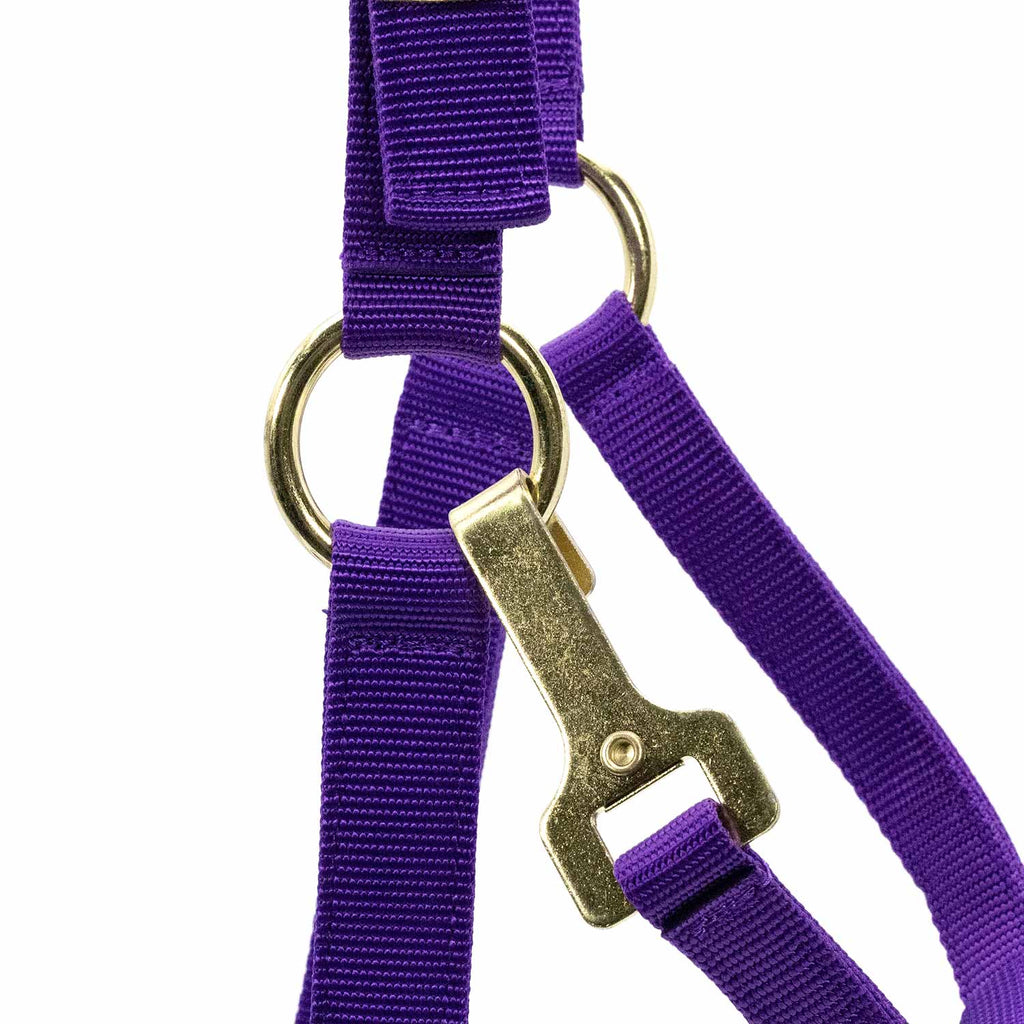 Jeffers Adjustable Halter with Throat Snap