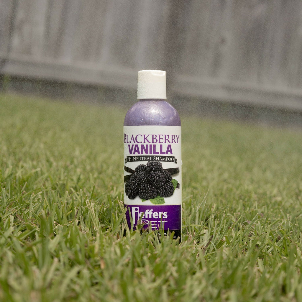 Jeffers Pet Blackberry Vanilla pH-Neutral Pet Shampoo