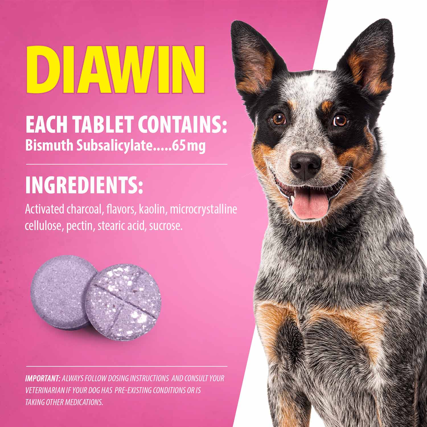 Jeffers Diawin Digestive Support for Dogs - Bismuth Tummy Relief for Diarrhea