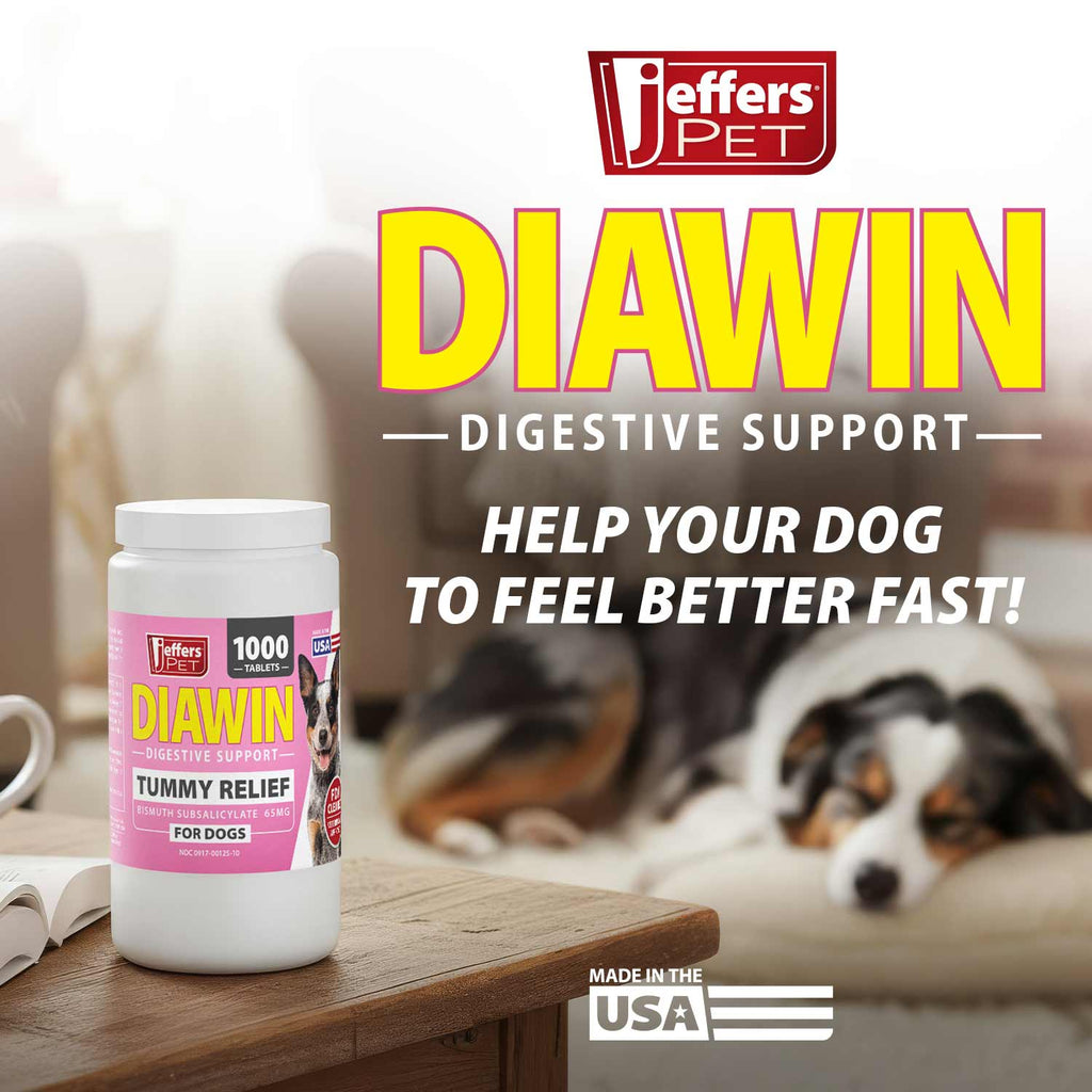 Jeffers Diawin Digestive Support for Dogs - Bismuth Tummy Relief for Diarrhea