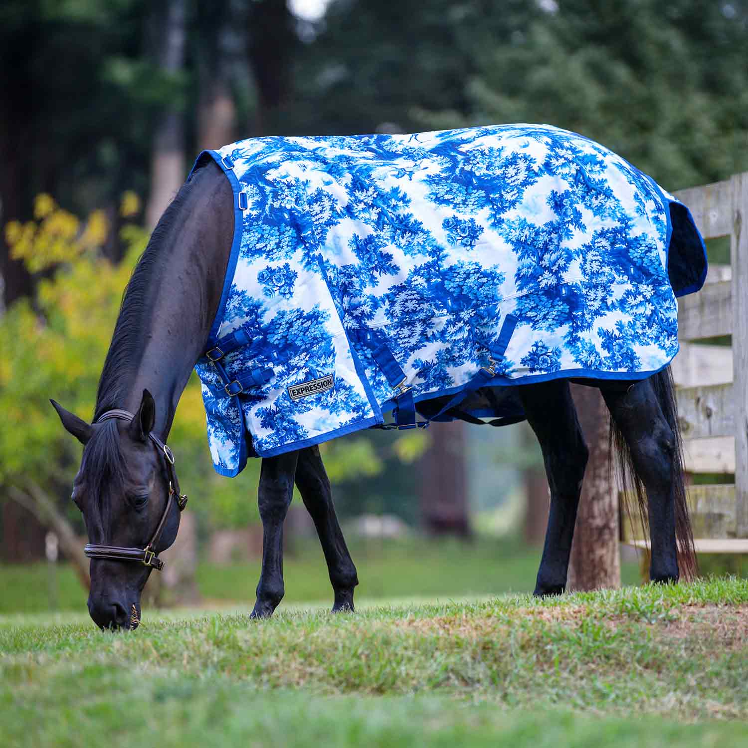 Jeffers Expression 1200 Denier Standard Neck Turnout Horse Blanket, 240 Gram