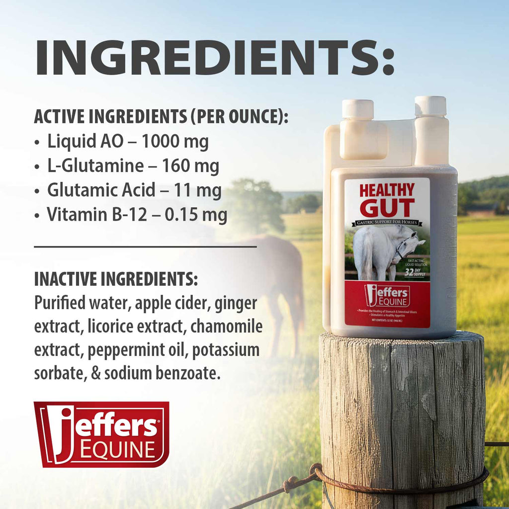 Jeffers Healthy Gut Gastric Support Liquid Supplement for Horses
