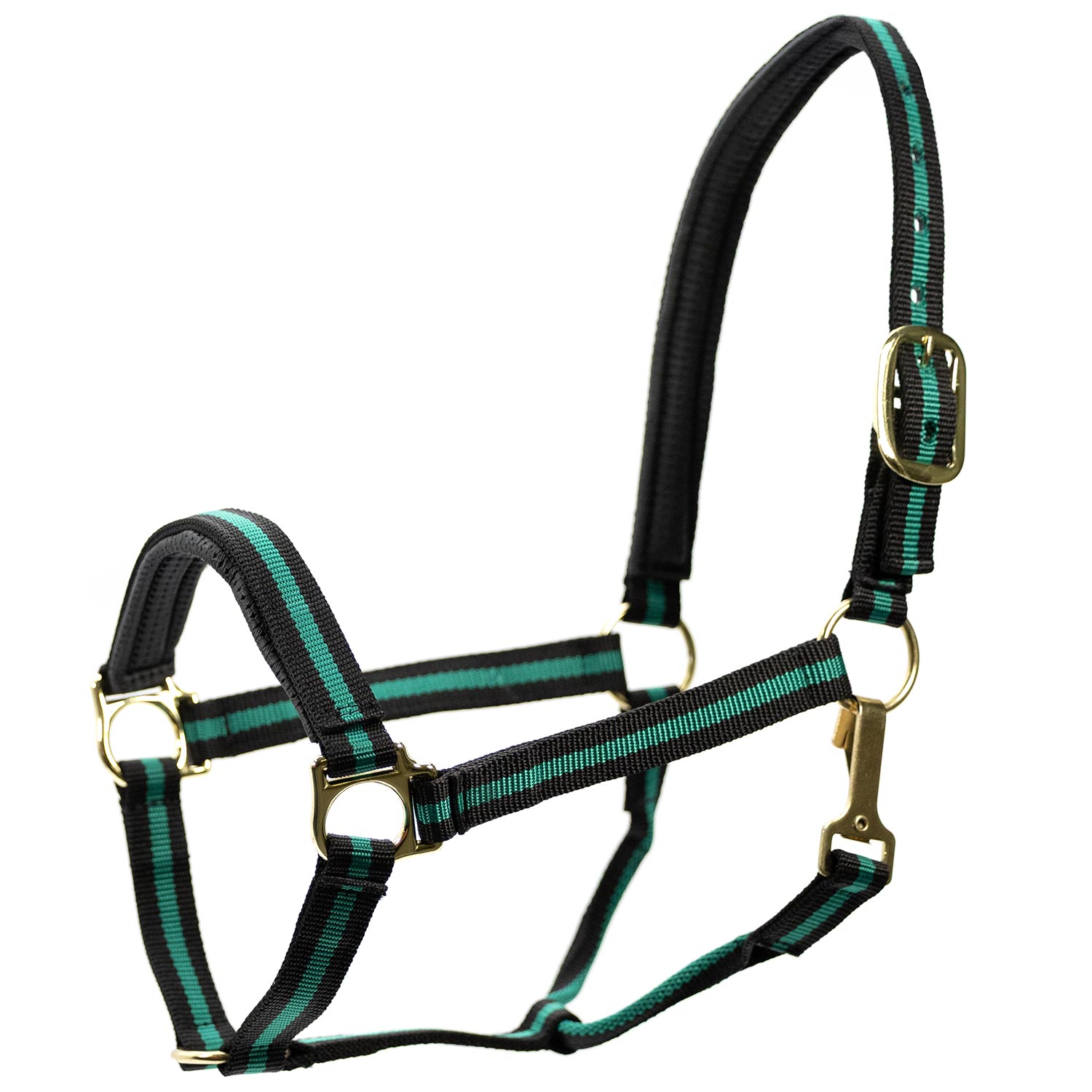 Jeffers Padded Nylon Horse Halter with Throat Snap