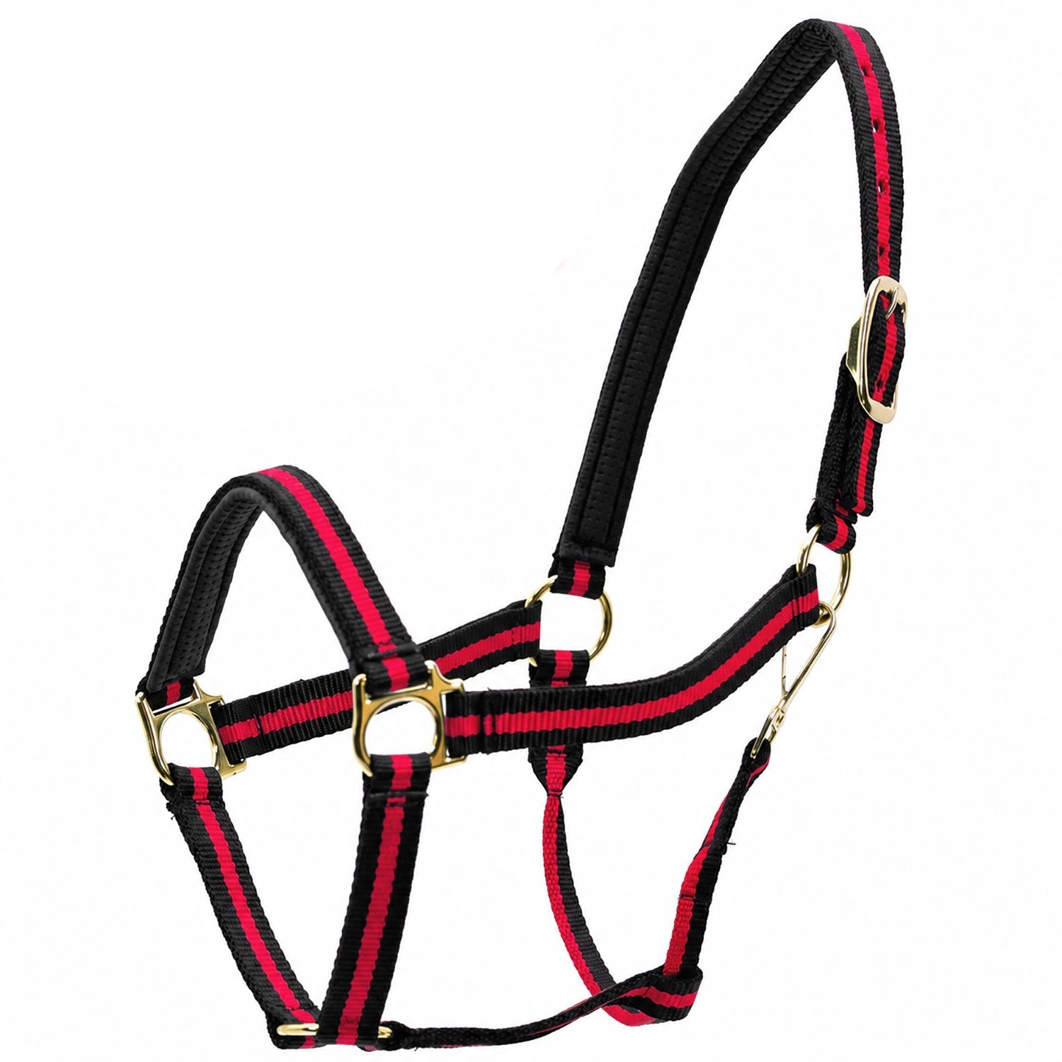 Jeffers Padded Nylon Horse Halter with Throat Snap