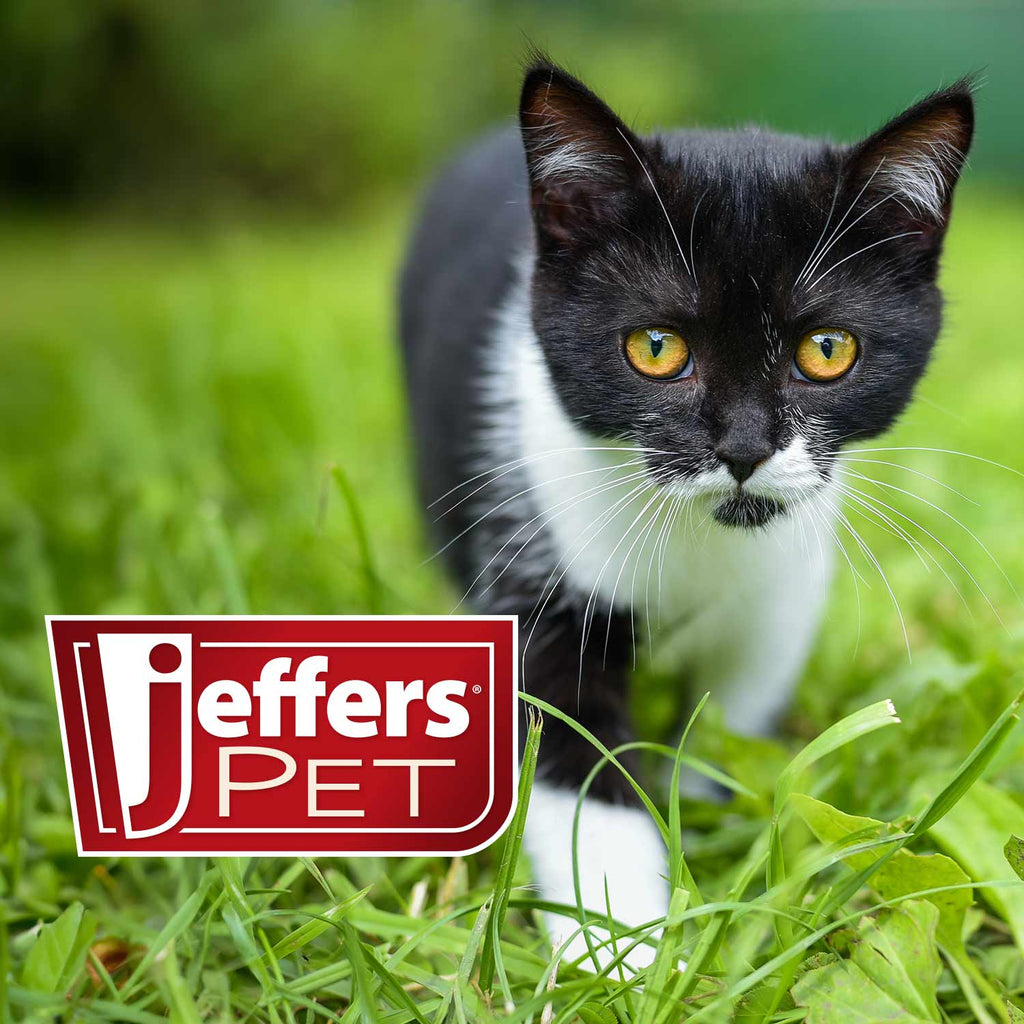 Jeffers Low Profile Stainless Steel Double Diner Pet Bowls