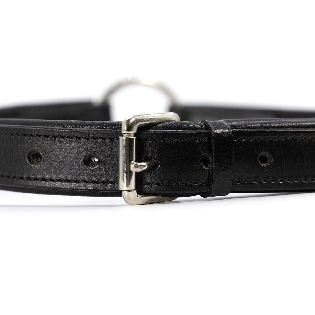 Jeffers Premium Padded Black Leather Dog Collars