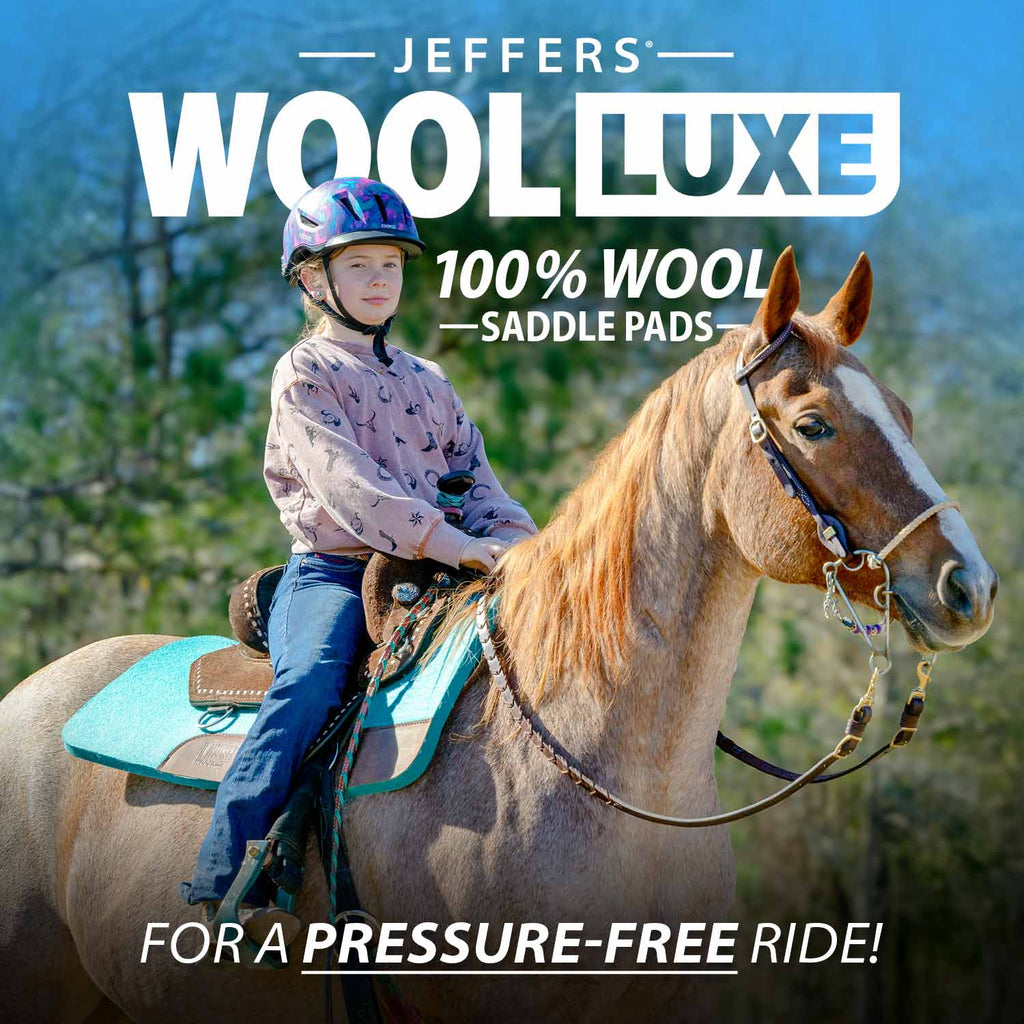 Jeffers WoolLuxe 100% Wool Equine Saddle Pad – Cushioned, Breathable, and Shock-Absorbing