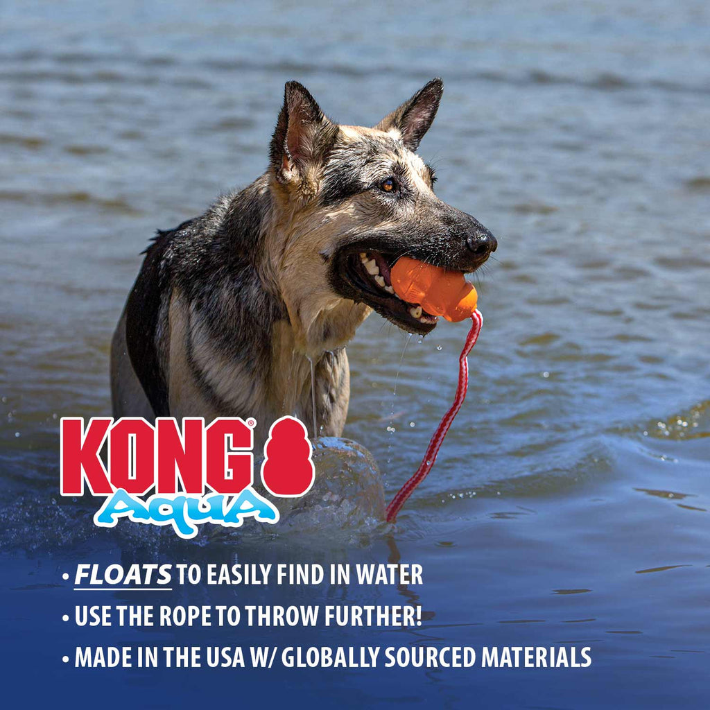 KONG Aqua Floating Water Dog Toy