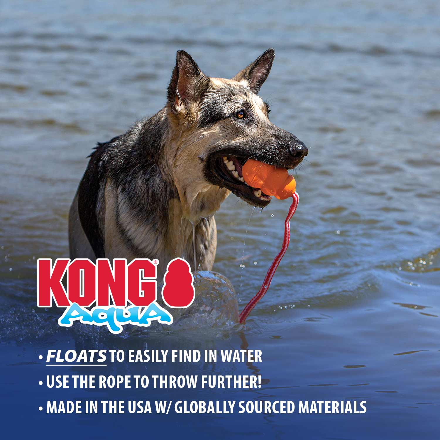 KONG Aqua Floating Water Dog Toy