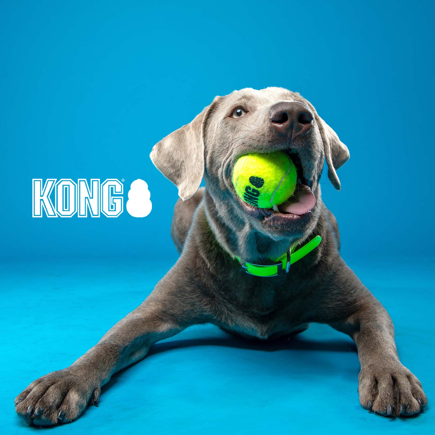 KONG SqueakAir® Ball – Durable Squeaker Tennis Ball Dog Toy for Fetch & Play