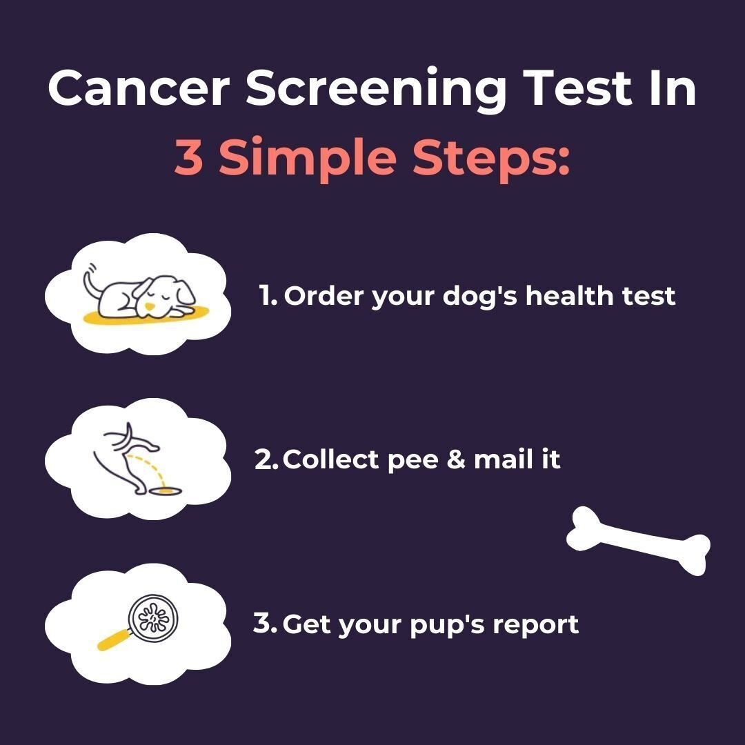 Oncotect Essential At-Home Dog Cancer Screening Test Kit
