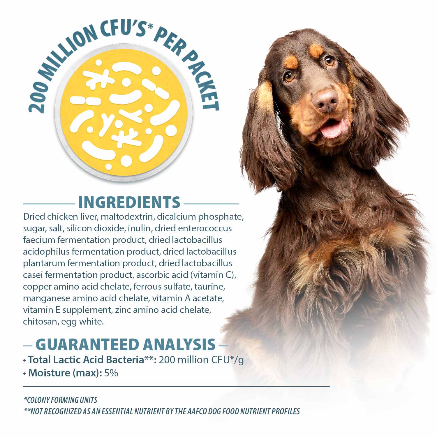 Pet's Choice Gut Instincts Probiotic Powder Packets for Dogs – Daily Digestive & Immune Support, 30 Count