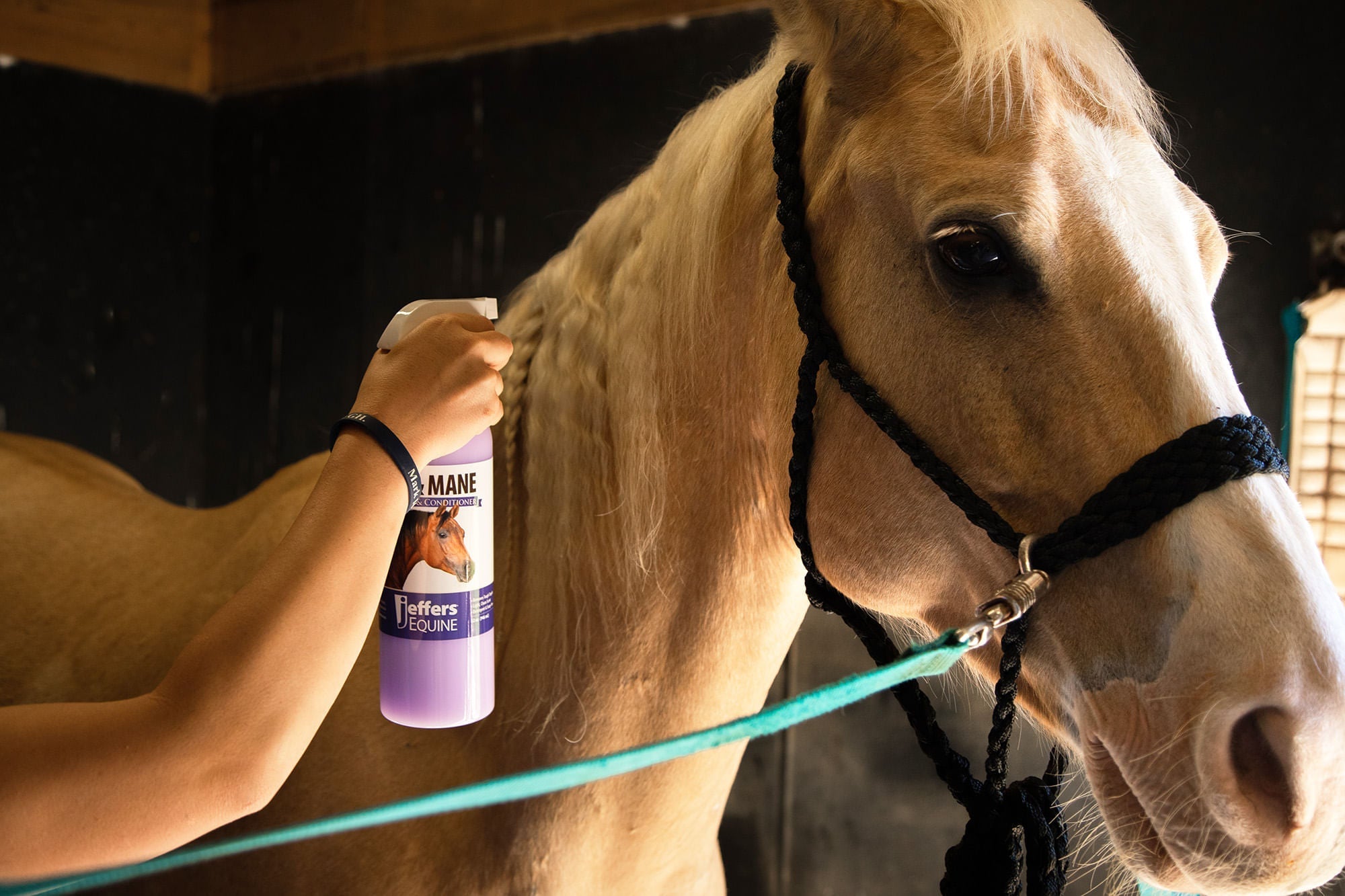 Jeffers Equine Tail & Mane Detangler and Conditioner for Horses